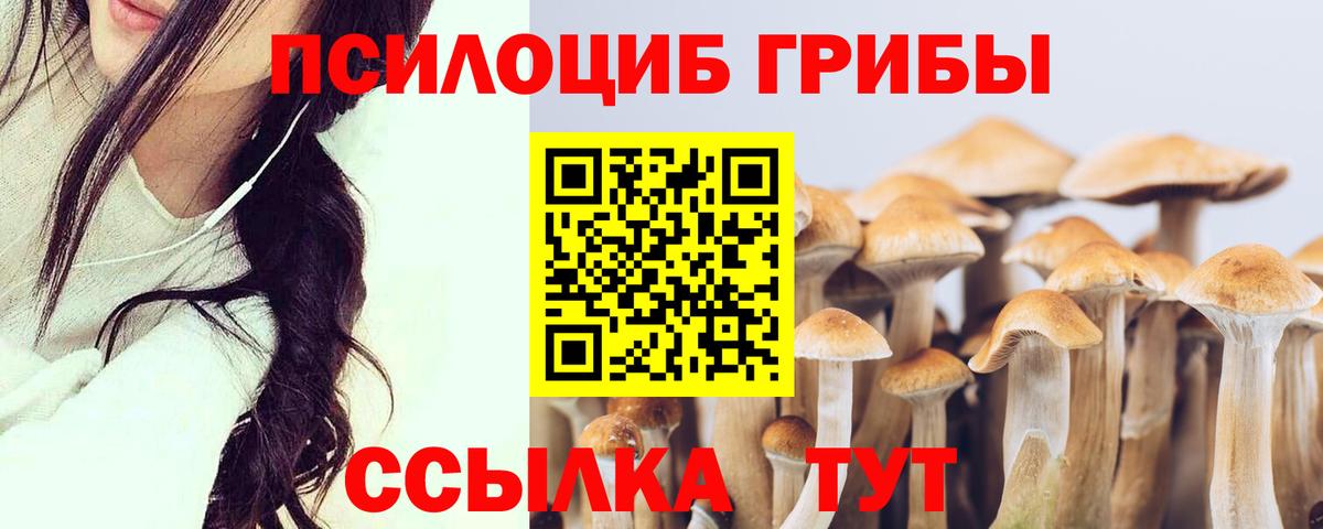 Псилоцибиновые грибы Psilocybe  наркошоп  Люберцы  Вход с VPN 