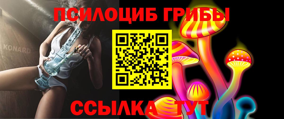 Псилоцибиновые грибы Psilocybe Люберцы